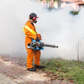 Worker fogging residential area with insecticides to kill aedes Worker fogging residential area with insecticides to kill aedes