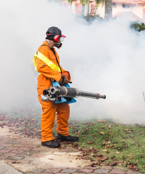 Worker fogging residential area with insecticides to kill aedes Worker fogging residential area with insecticides to kill aedes